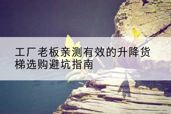 殷都升降货梯怎么选-工厂老板亲测有效的升降货梯选购避坑指南
