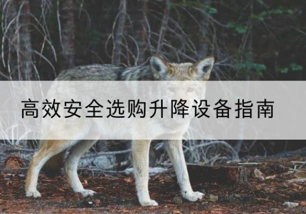 殷都升降货梯厂家推荐-*安全选购升降设备指南