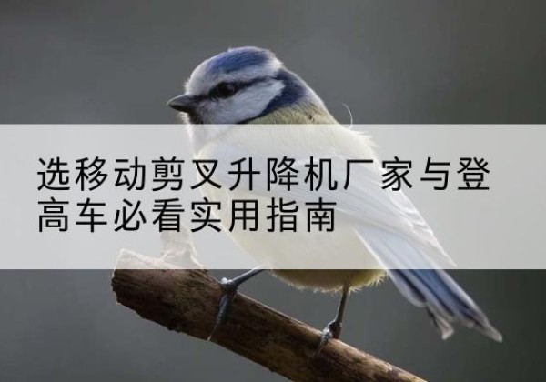 殷都电动升降机厂家-选移动剪叉升降机厂家与登高车必看实用指南